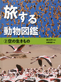 旅する動物図鑑　②空の生きもの