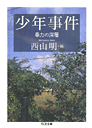 少年事件