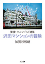 驚嘆！セルフビルド建築　沢田マンションの冒険